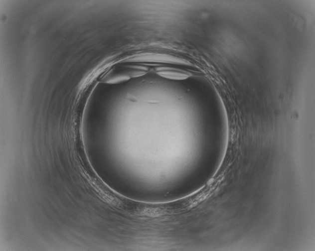 X0000084050341200702161512