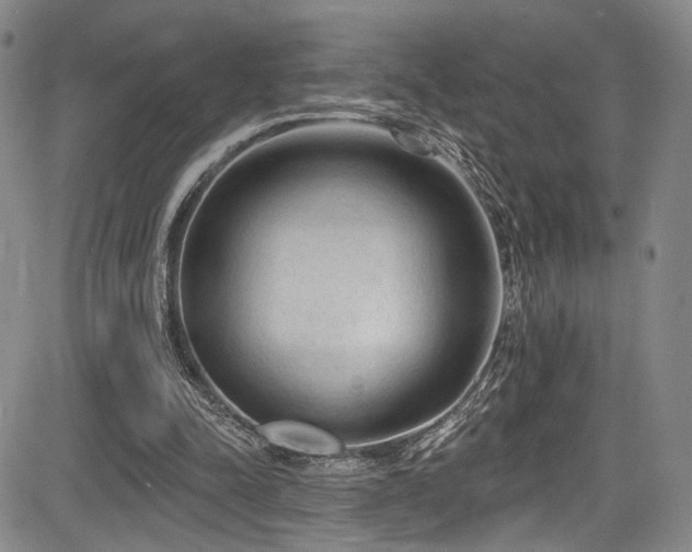 X0000084050342200702161512