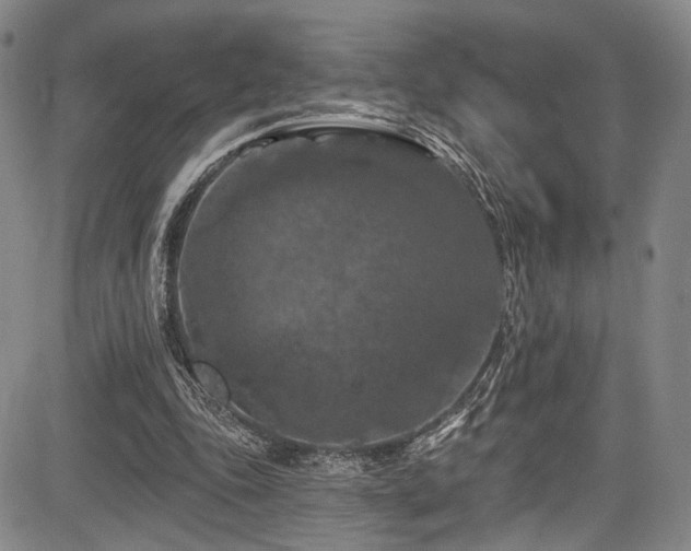 X0000084050343200702161512