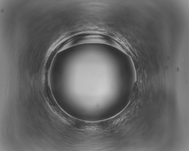 X0000084050344200702161512