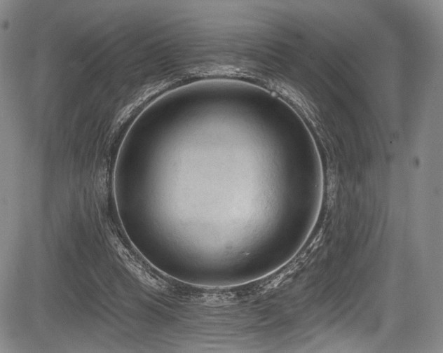 X0000084050345200702161512