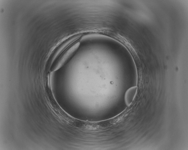 X0000084050346200702161512