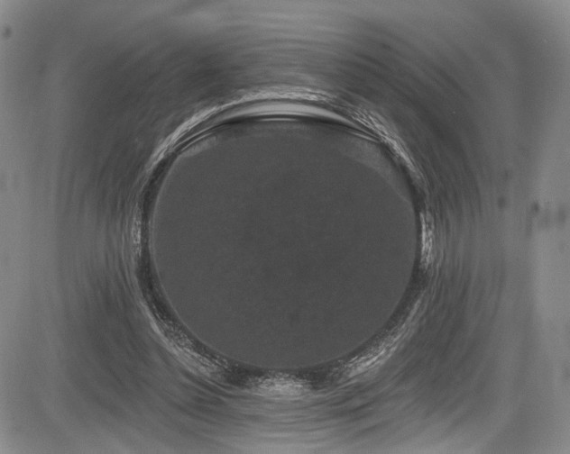 X0000084050348200702161512