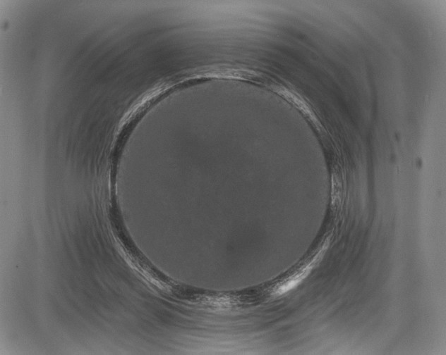 X0000084050349200702161512