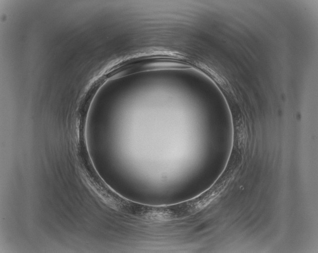 X0000084050350200702161512