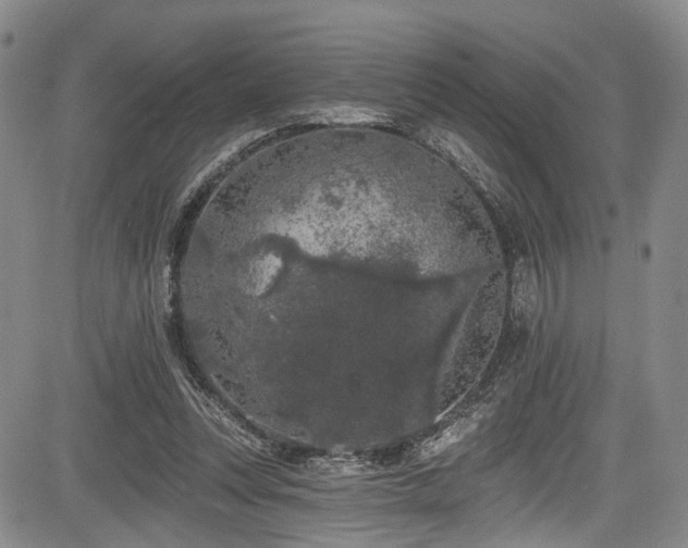 X0000084050351200702161512