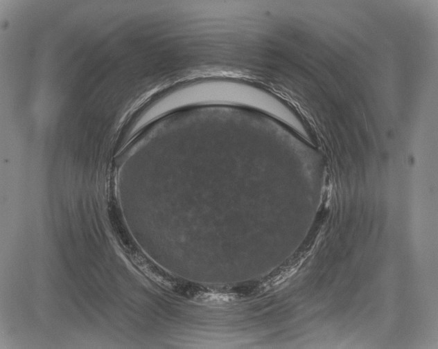 X0000084050352200702161512