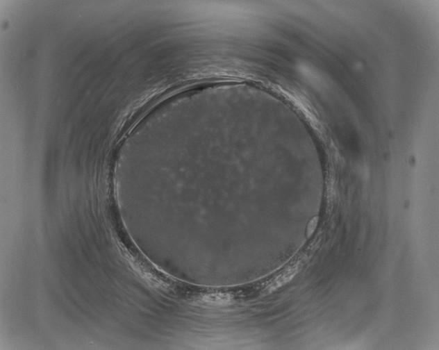 X0000084050353200702161512