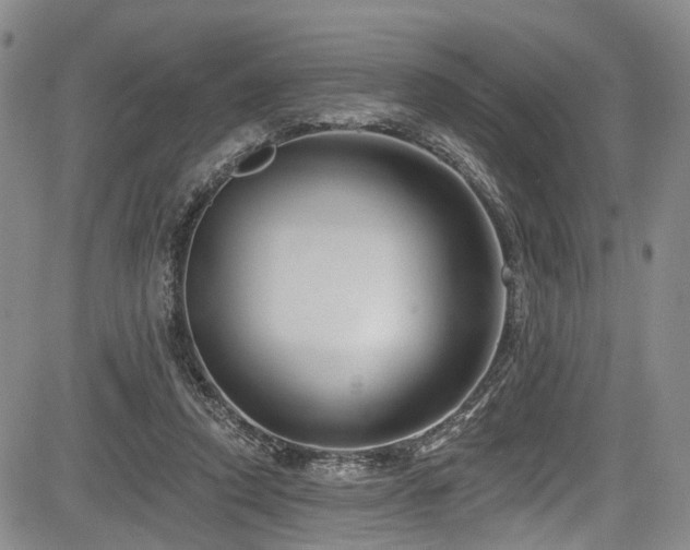 X0000084050354200702161512