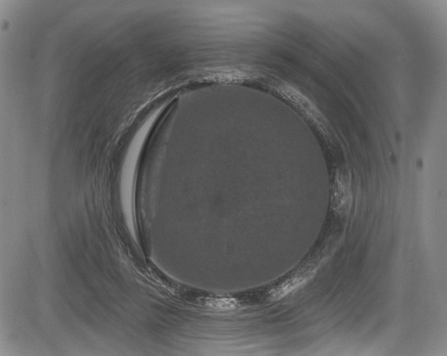 X0000084050355200702161512