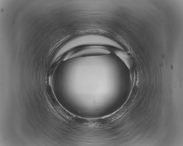 X0000084050356200702161513