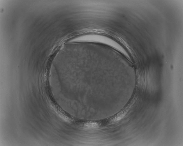 X0000084050357200702161513