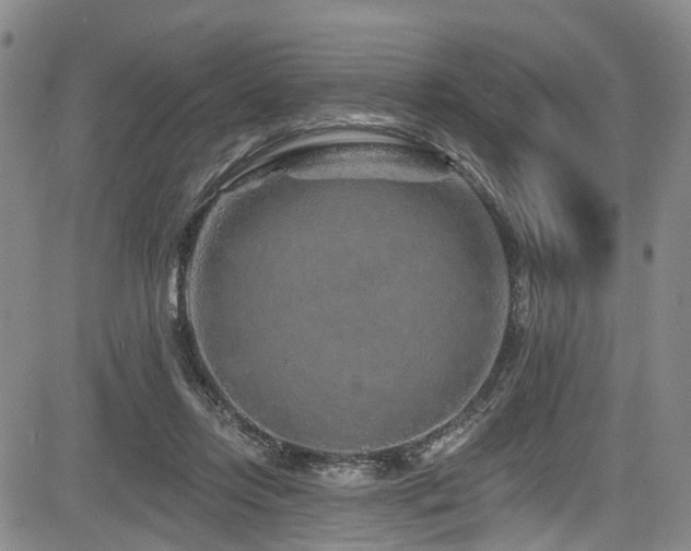 X0000084050358200702161513