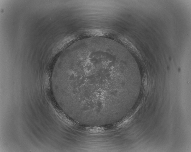 X0000084050359200702161513