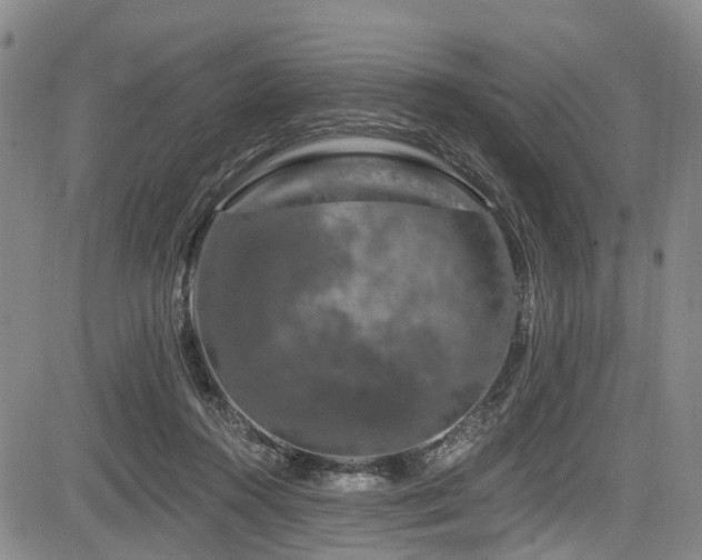 X0000084050360200702161513