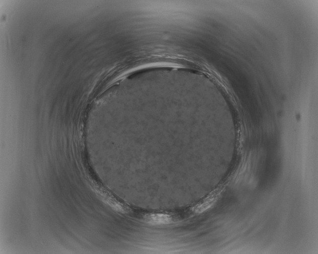 X0000084050361200702161513