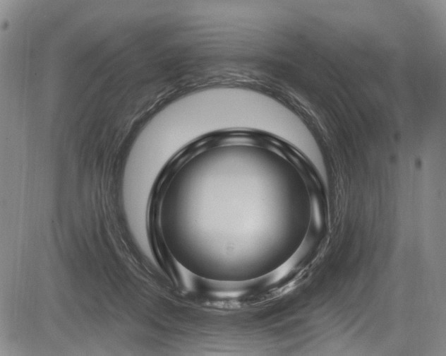 X0000084050362200702161513