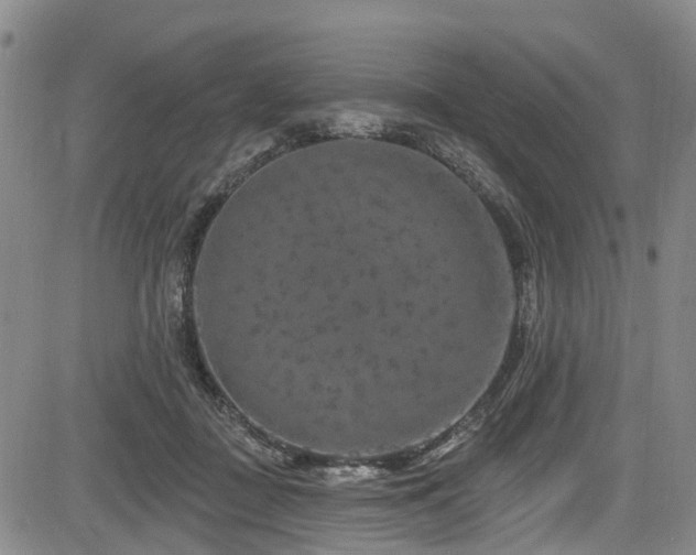 X0000084050363200702161513