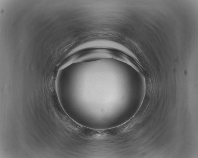 X0000084050364200702161513