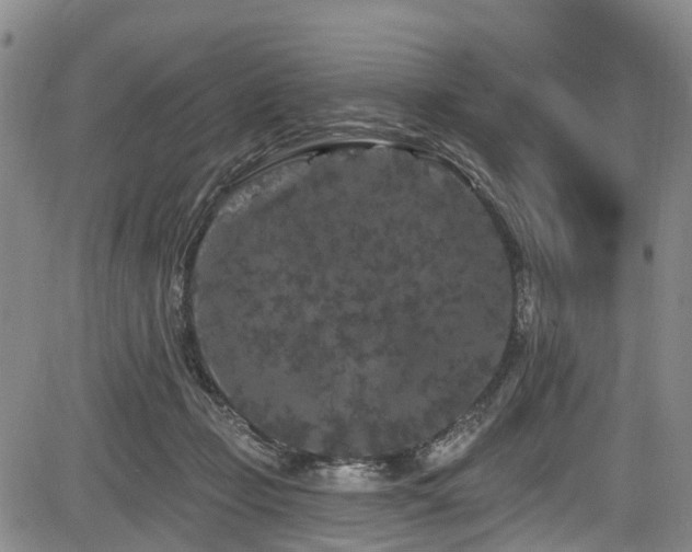 X0000084050365200702161513