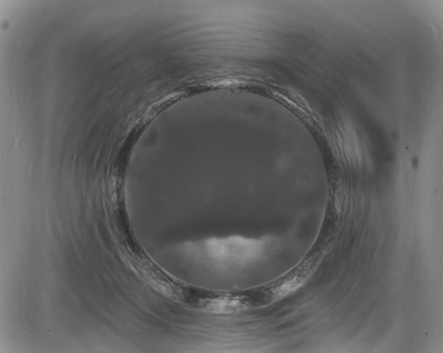 X0000084050366200702161513