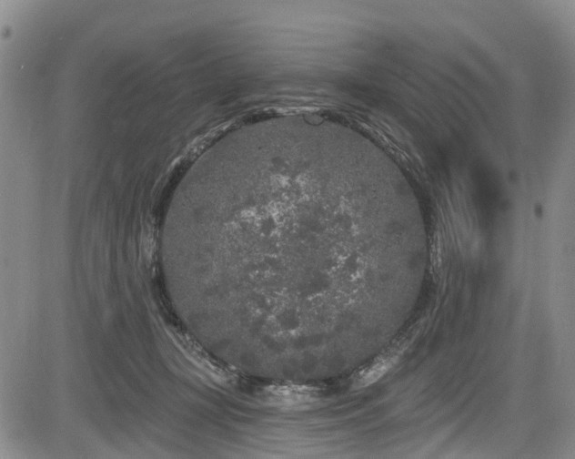 X0000084050367200702161513