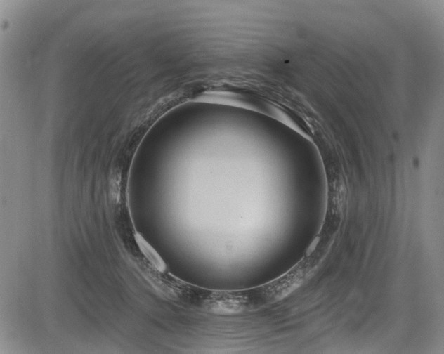 X0000084050368200702161513