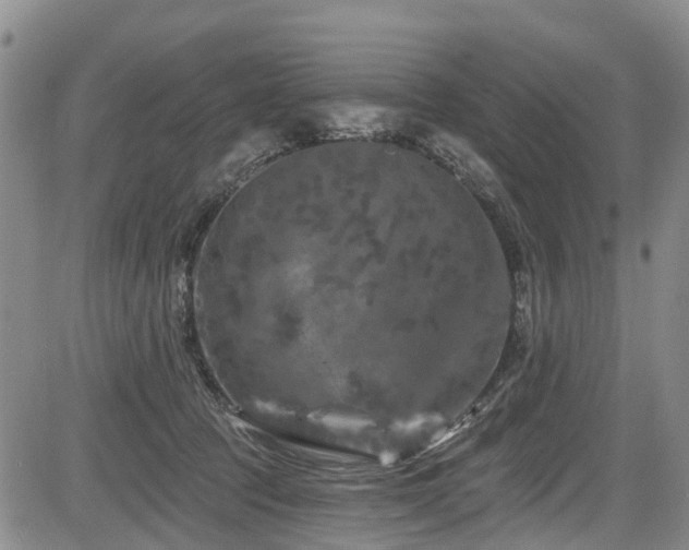 X0000084050369200702161513