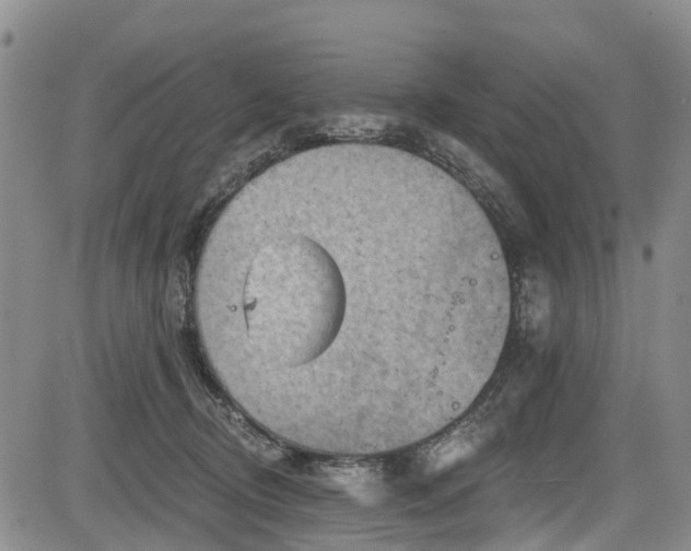 X0000084050370200702161513