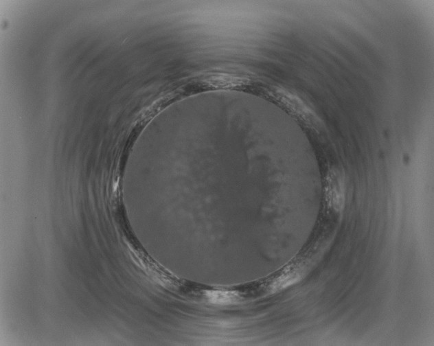 X0000084050371200702161513