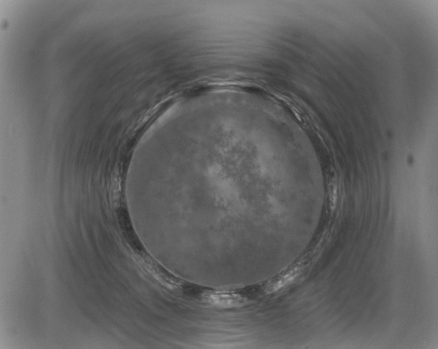 X0000084050372200702161513