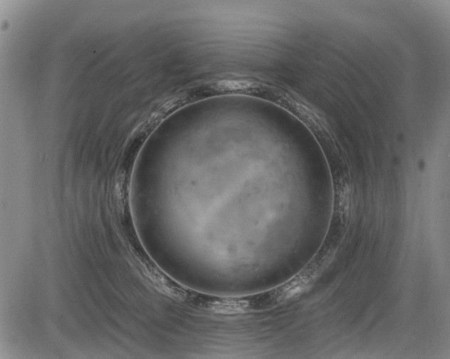 X0000084050373200702161513