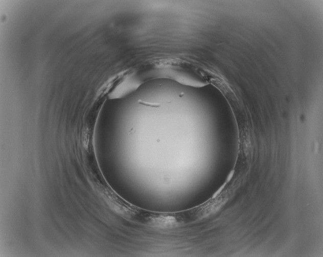 X0000084050374200702161513