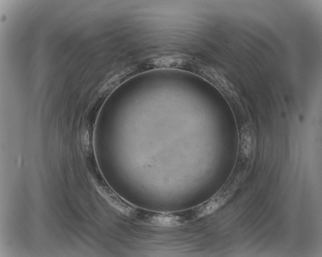 X0000084050375200702161513