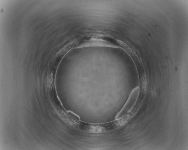 X0000084050376200702161513