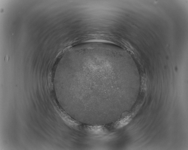 X0000084050377200702161513