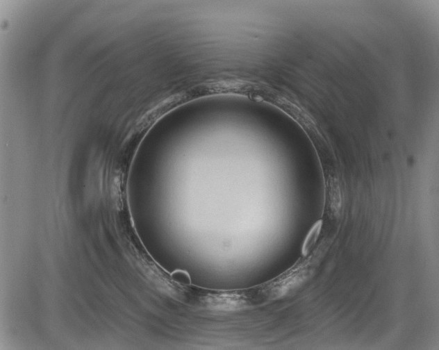 X0000084050378200702161513