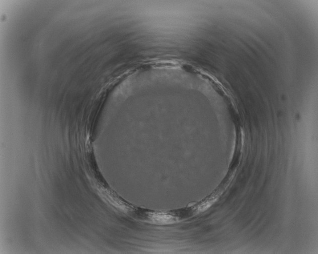 X0000084050380200702161513