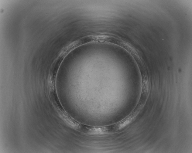 X0000084050381200702161513