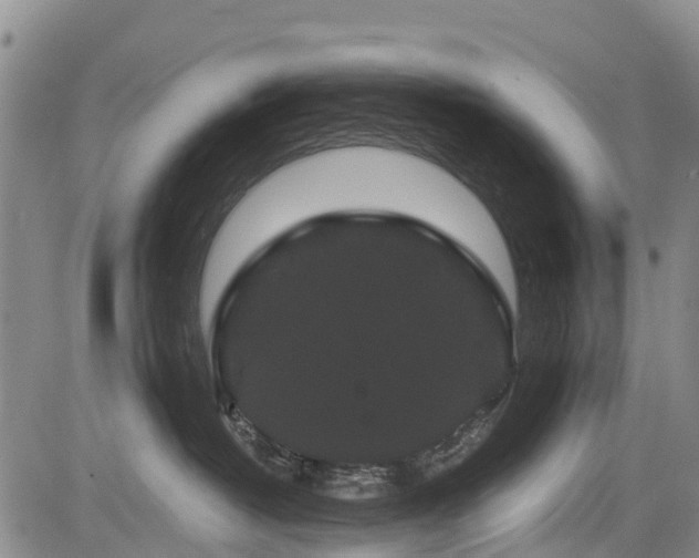 X0000084050382200702161513