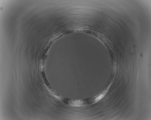 X0000084050383200702161513