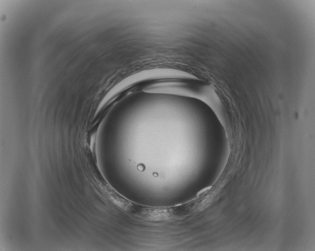 X0000084050384200702161513