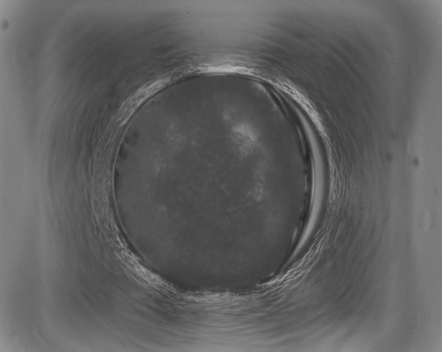 X0000084050385200702161512