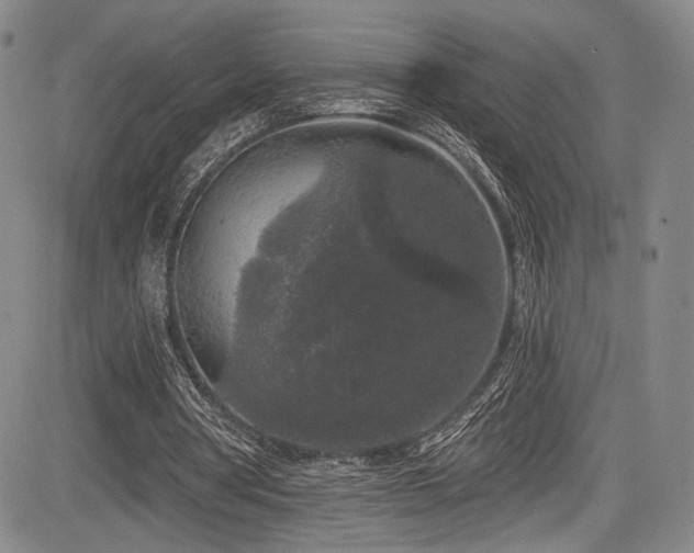 X0000084050386200702161512