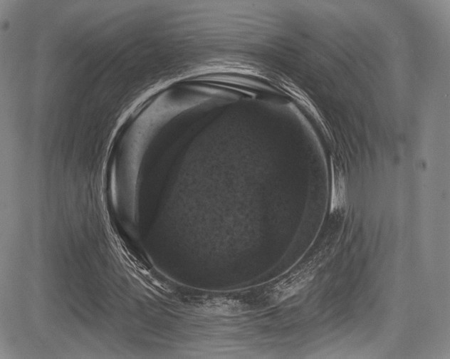 X0000084050387200702161512