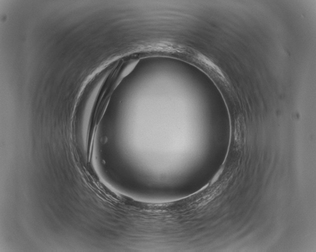 X0000084050388200702161512