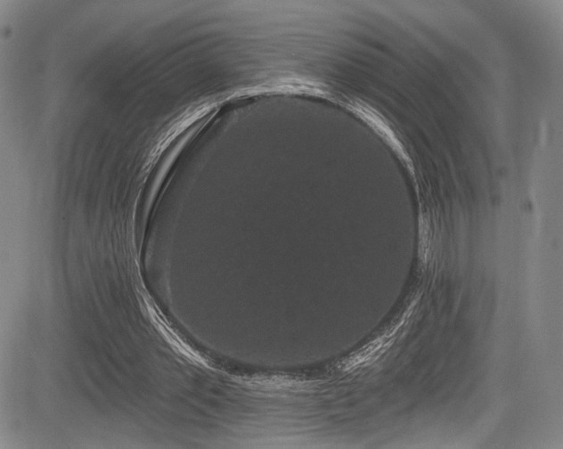 X0000084050389200702161512