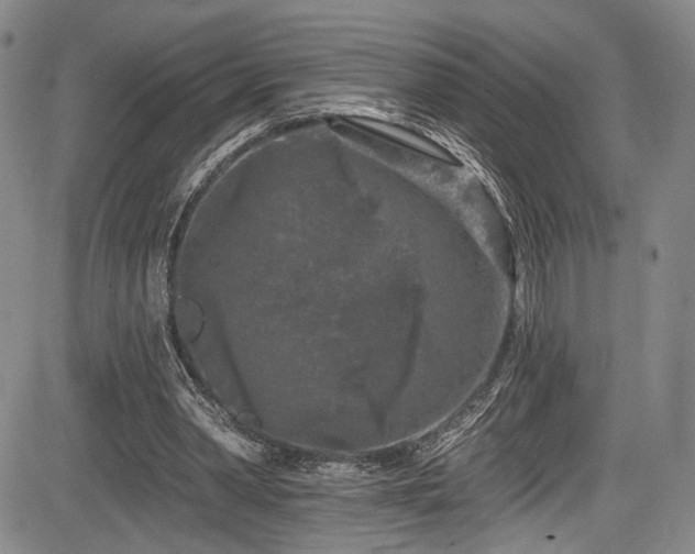 X0000084050390200702161512