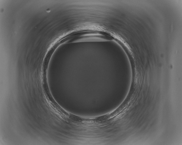 X0000084050391200702161512