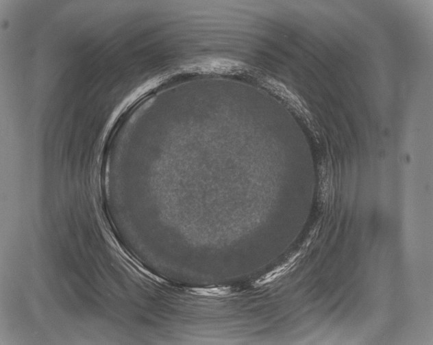 X0000084050392200702161512